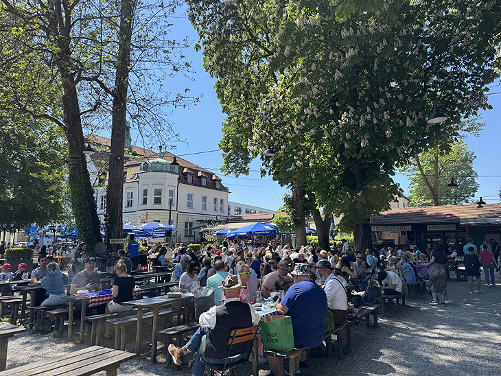 Maibaum aufstellen am 01.05.2025 im Augustiner Schützengarten in München-Obersendling (©foto:Martin Schmitz)